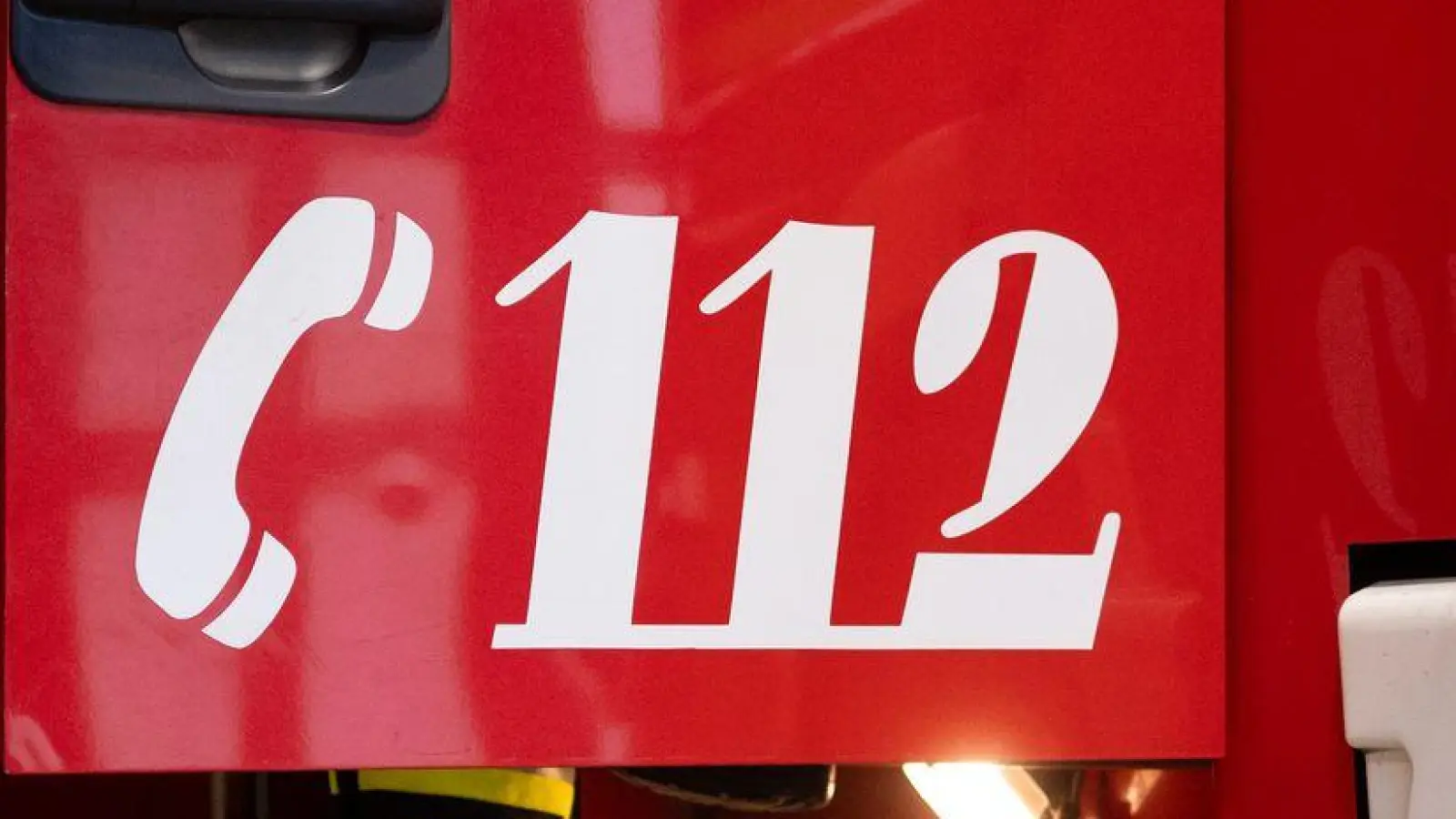 Die Tiere wurden gerettet. (Symbolbild) (Foto: Niklas Treppner/dpa)