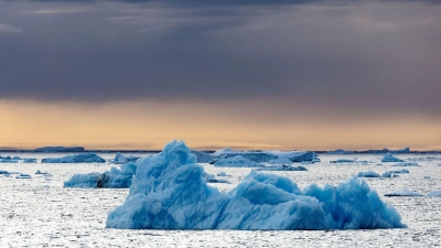Die Dokumentation von Werner Herzog, in der der Pinguin vorkommt, ist aus dem Jahr 2007. (Archivfoto) (Foto: John Weller/dpa)