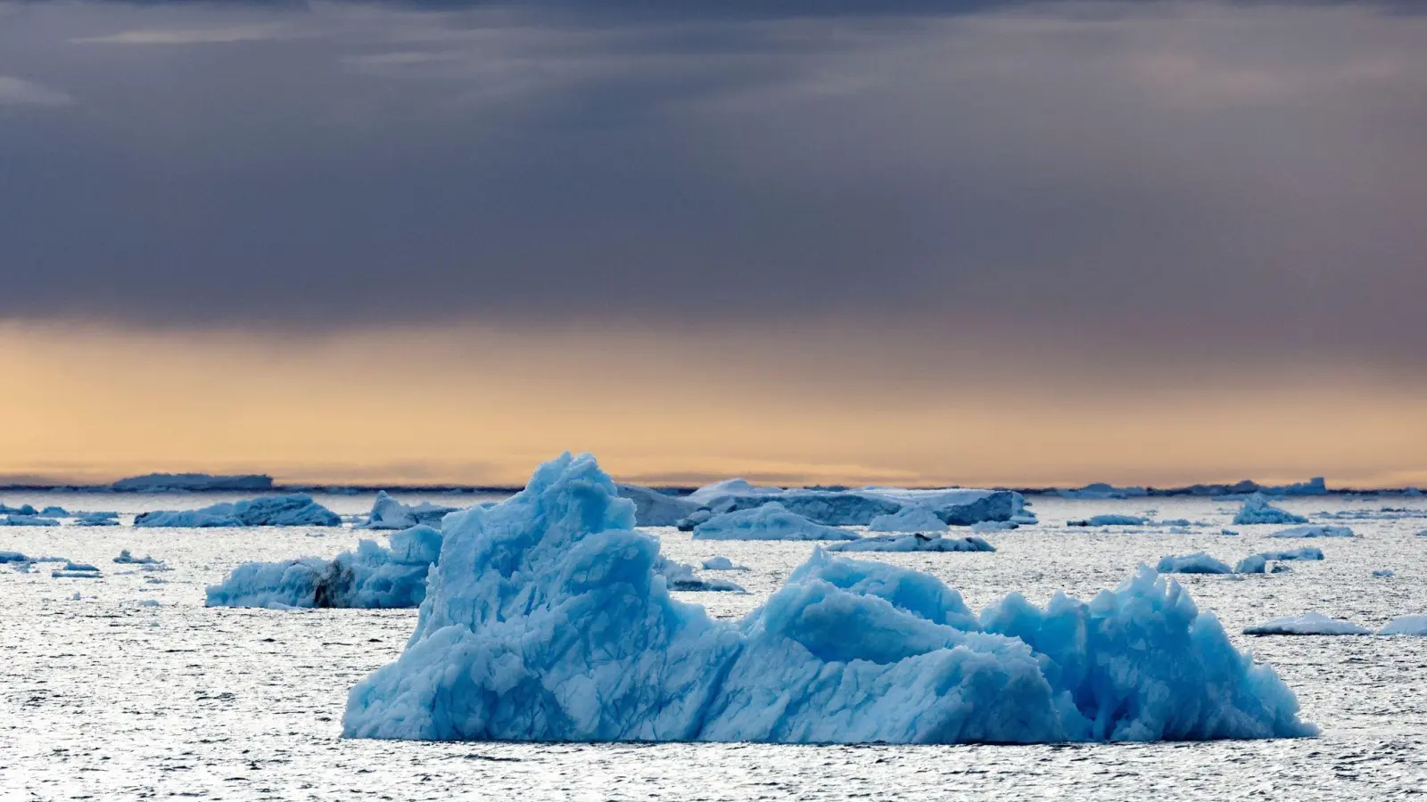 Die Dokumentation von Werner Herzog, in der der Pinguin vorkommt, ist aus dem Jahr 2007. (Archivfoto) (Foto: John Weller/dpa)