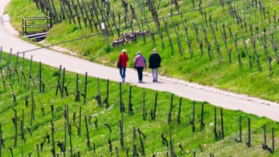Spaziergänger genießen bei schönem Wetter die Weinberge nahe Stuttgart-Rotenberg und Uhlbach. (Foto: Christoph Schmidt/dpa)