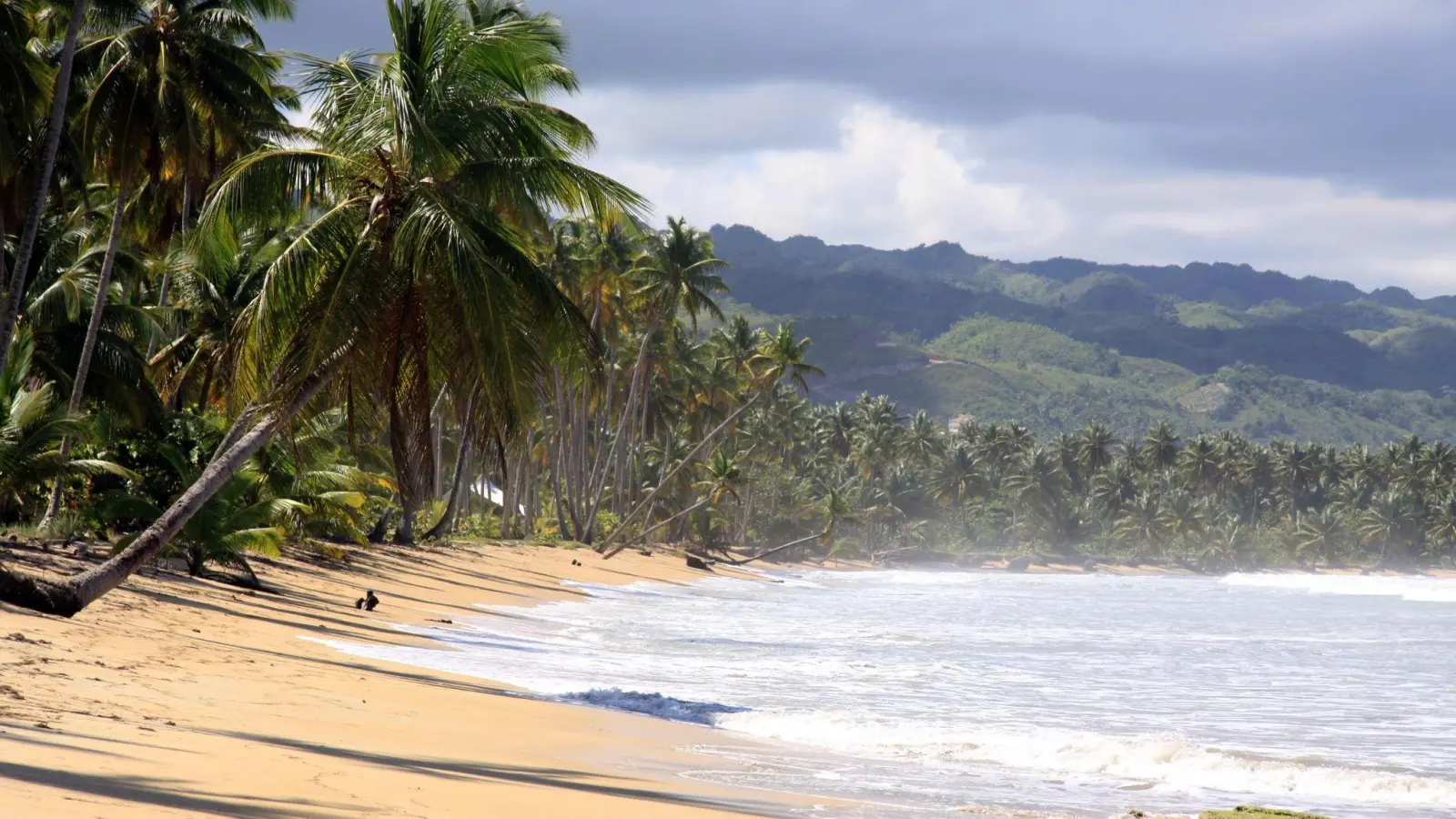 Der kalten Jahreszeit in die Karibik entfliehen? Wer für kommenden Winter eine Pauschalreise in die Dominikanische Republik plant, darf auf leicht sinkende Preise hoffen. (Foto: Manuel Meyer/dpa-tmn)