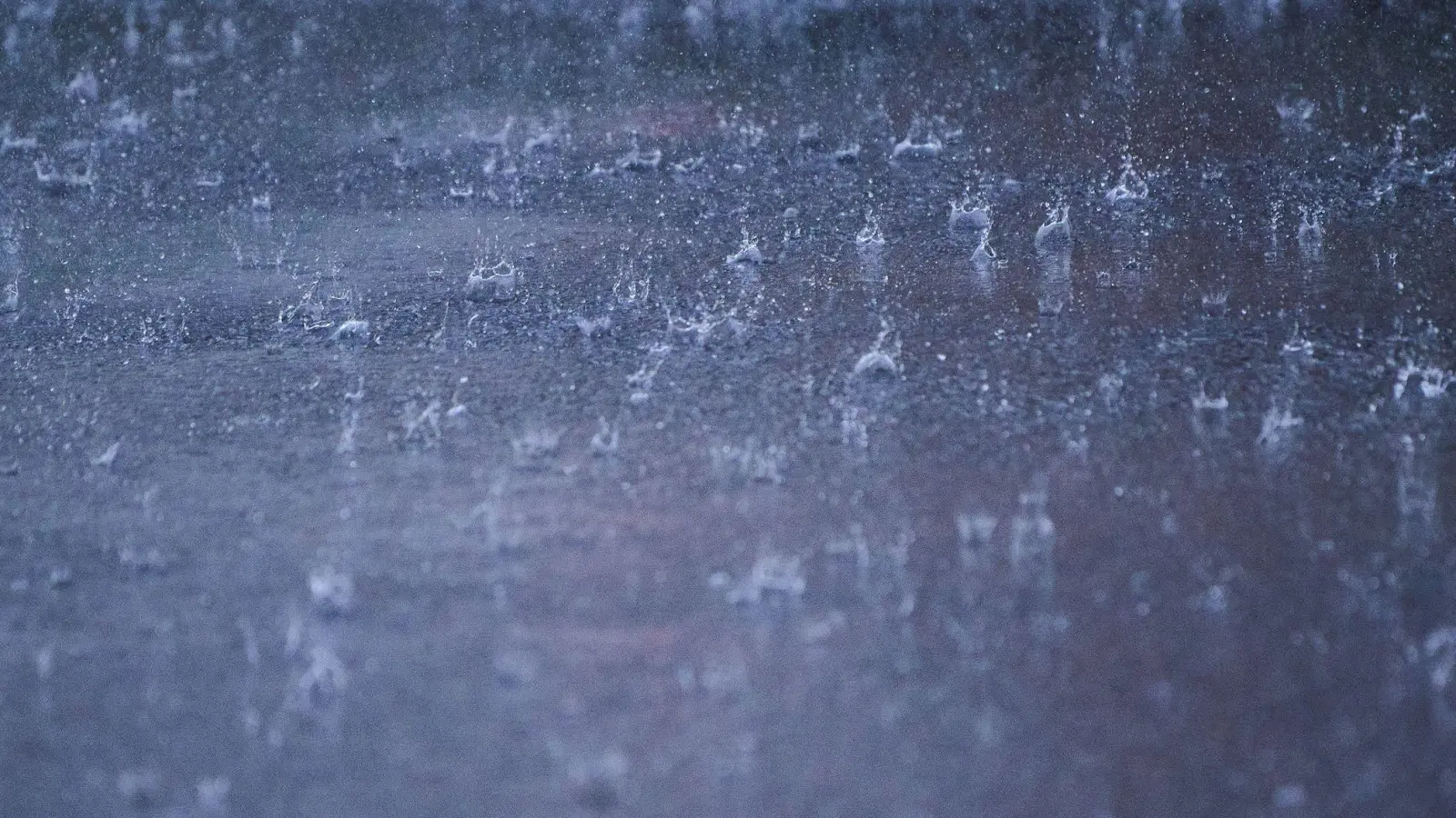 Starkregen bleibt leider manchmal nicht nur draußen, sondern richtet Schaden an Haus und Eigentum an. Gut, wenn man dann die richtige Versicherung hat.  (Foto: Annette Riedl/dpa)