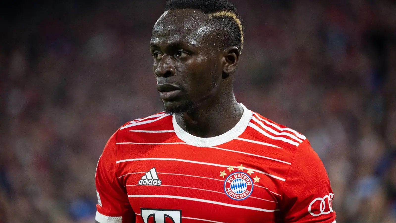 Der FC Bayern weist Rassismusvorwürfe von Sadio Manés Berater zurück. (Foto: Sven Hoppe/dpa)