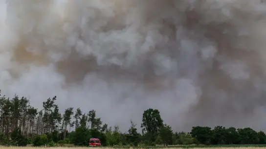 Rauch steigt von einem Waldbrandgebiet in den Himmel. (Foto: Robert Michael/dpa/Symbolbild)