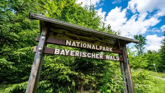„Nationalpark Bayerischer Wald“ steht auf einem Schild an dem Park. (Foto: Armin Weigel/dpa/Archivbild)