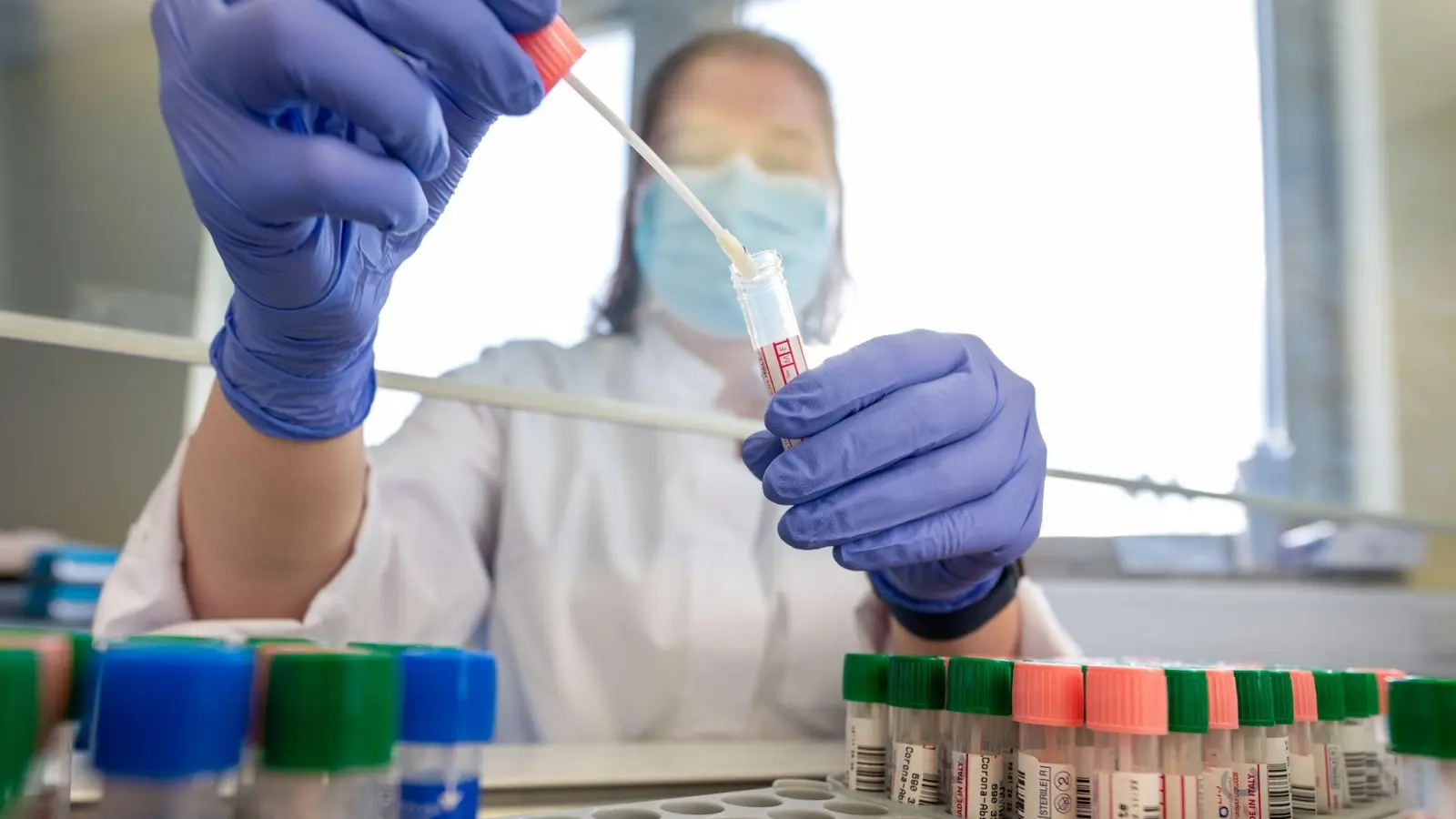 Eine Mitarbeiterin im Medizinischen Labor Ostsachsen wertet PCR-Tests aus. (Foto: Sebastian Kahnert/dpa-Zentralbild/dpa)