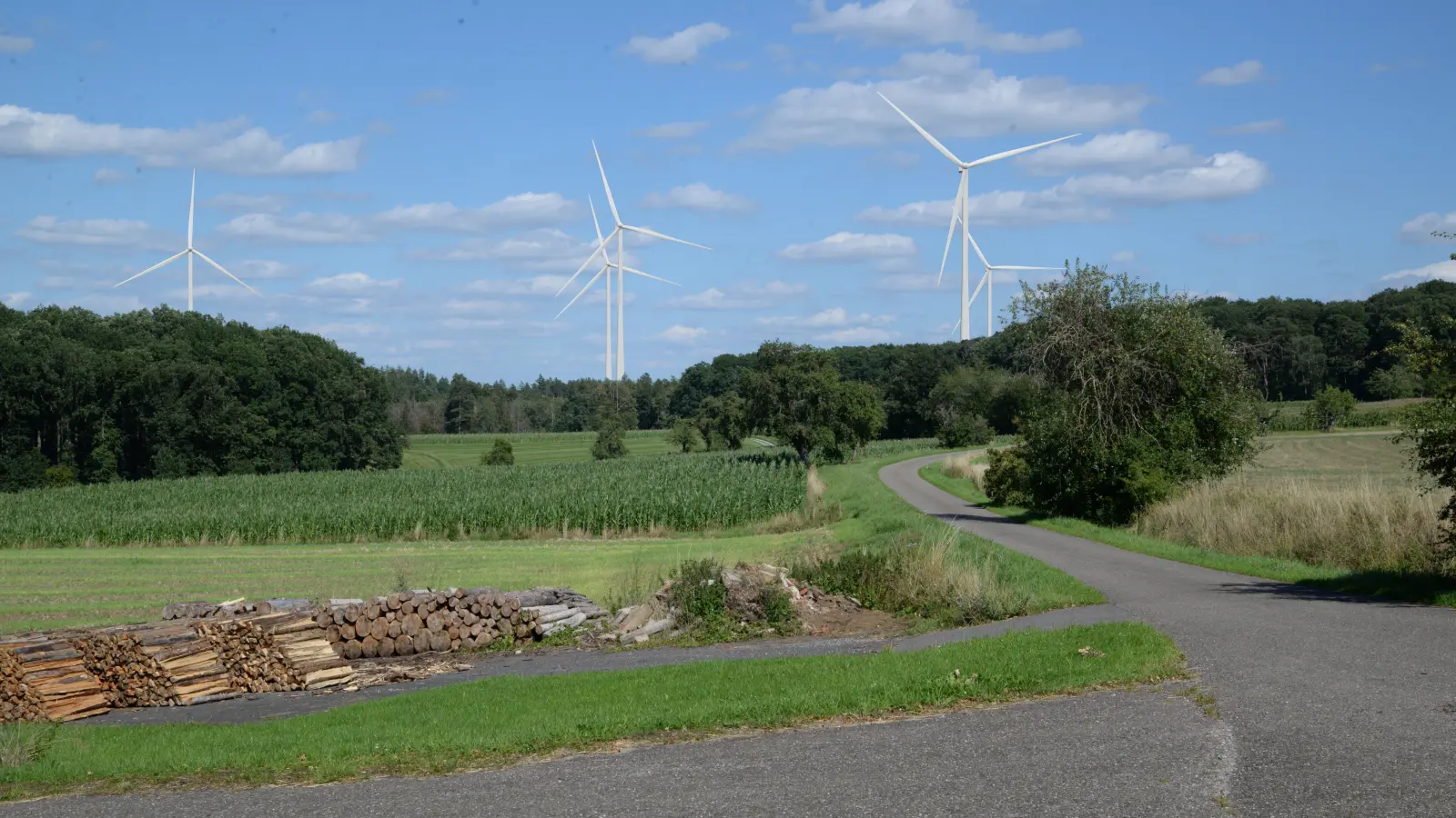 Vom Standort Eichelberg Ortsrand sind die digital simulierten Windräder am deutlichsten zu erkennen. Foto/digitale (Visualisierung: Manfred Ostermeier)