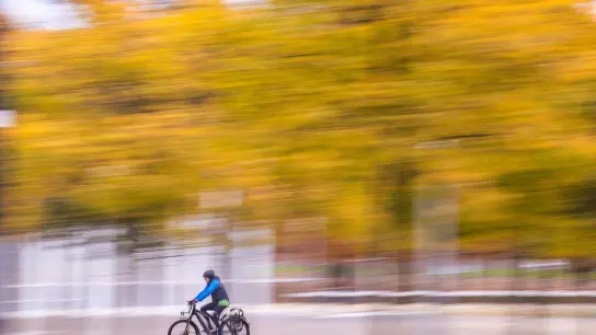 Wer im Herbst mit dem Rad unterwegs ist, sollte möglichst rutschfeste Reifen haben. (Foto: Jens Büttner/dpa-Zentralbild/dpa-tmn)