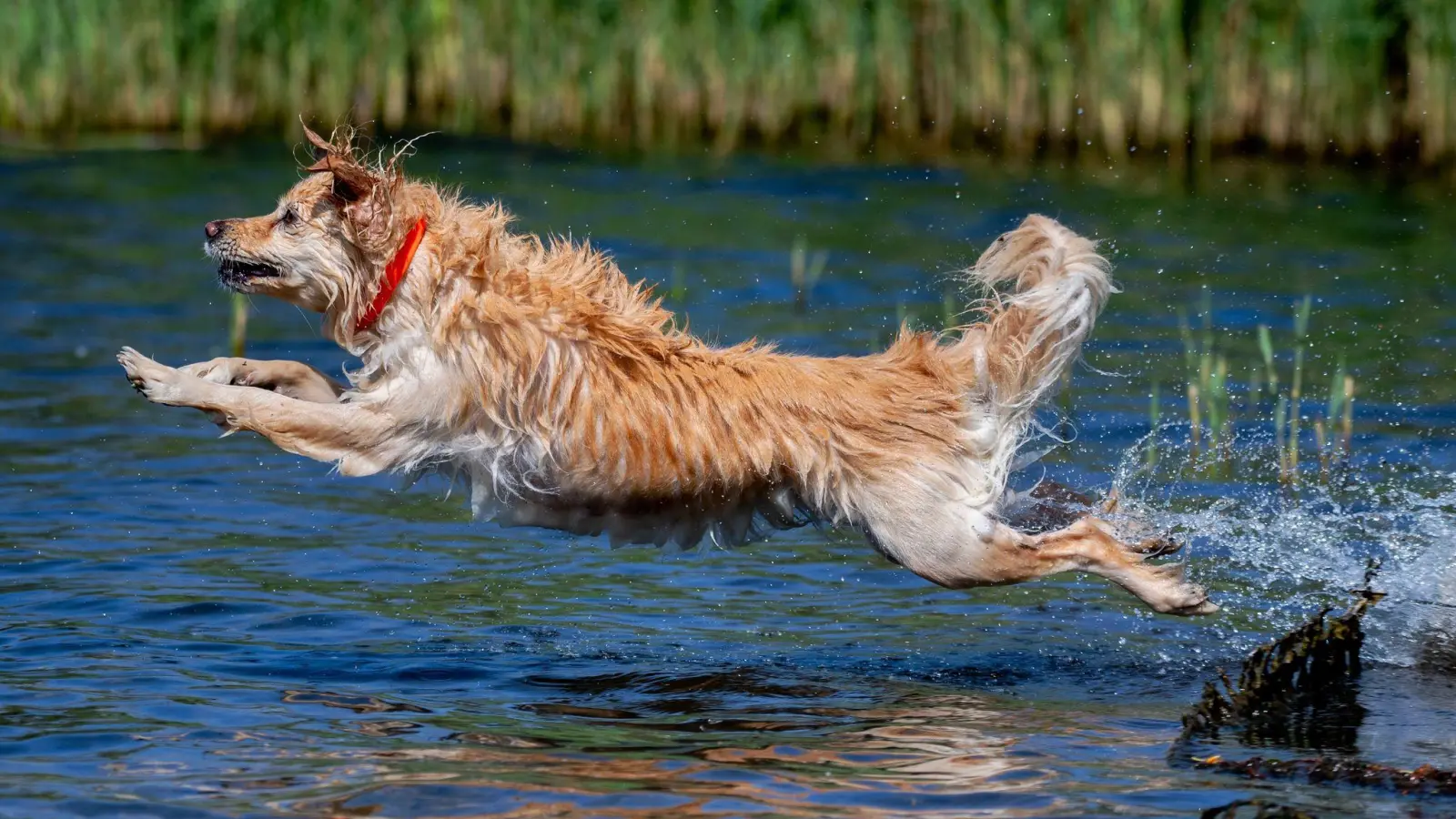Am Sonntag nimmt dann die Wärmebelastung deutlich zu. (Archivbild) (Foto: Hauke-Christian Dittrich/dpa)