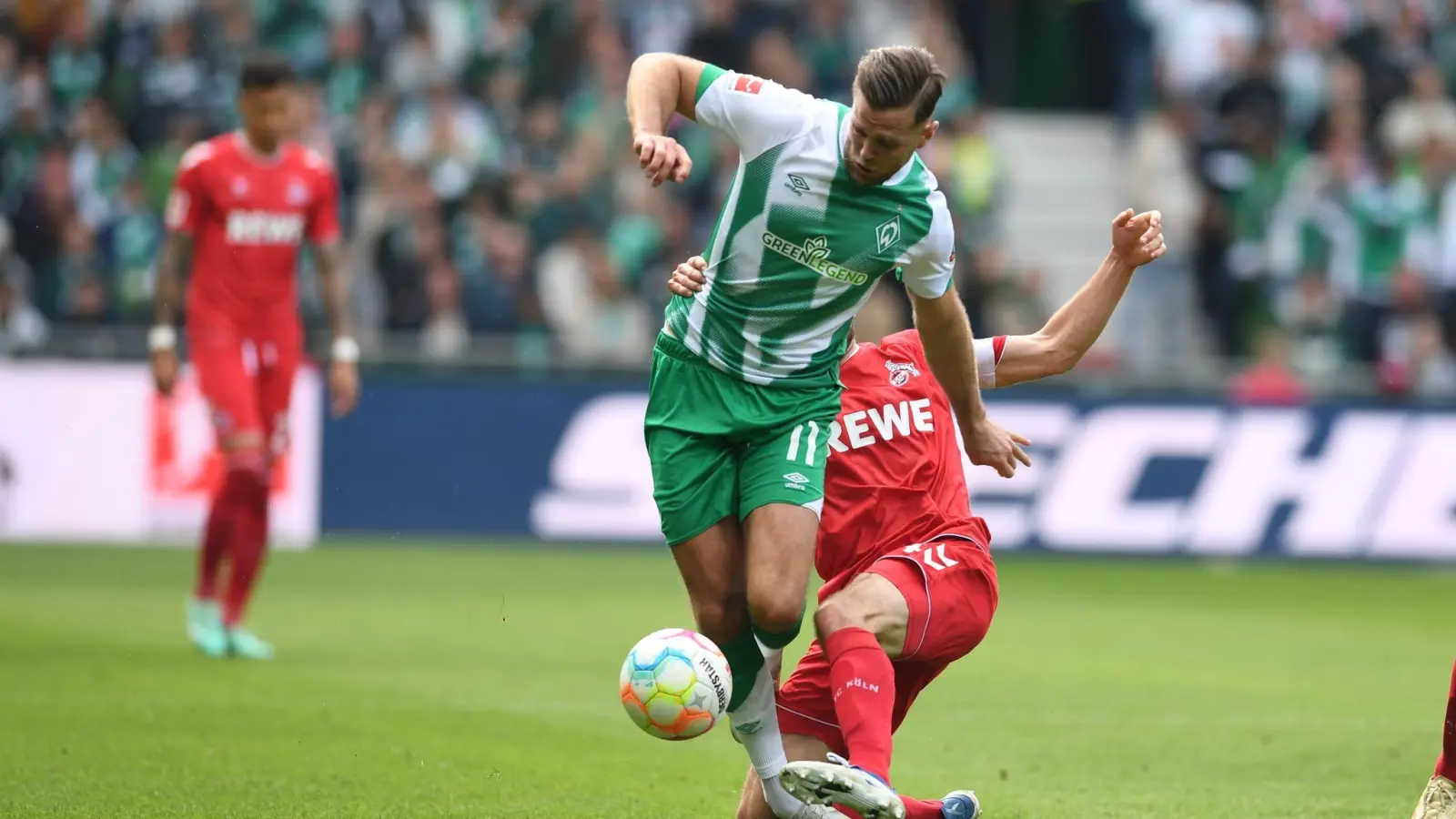 Werders Niclas Füllkrug (vorne) stand zum ersten Mal nach seiner Wadenverletzung wieder in der Startelf. (Foto: Carmen Jaspersen/dpa)