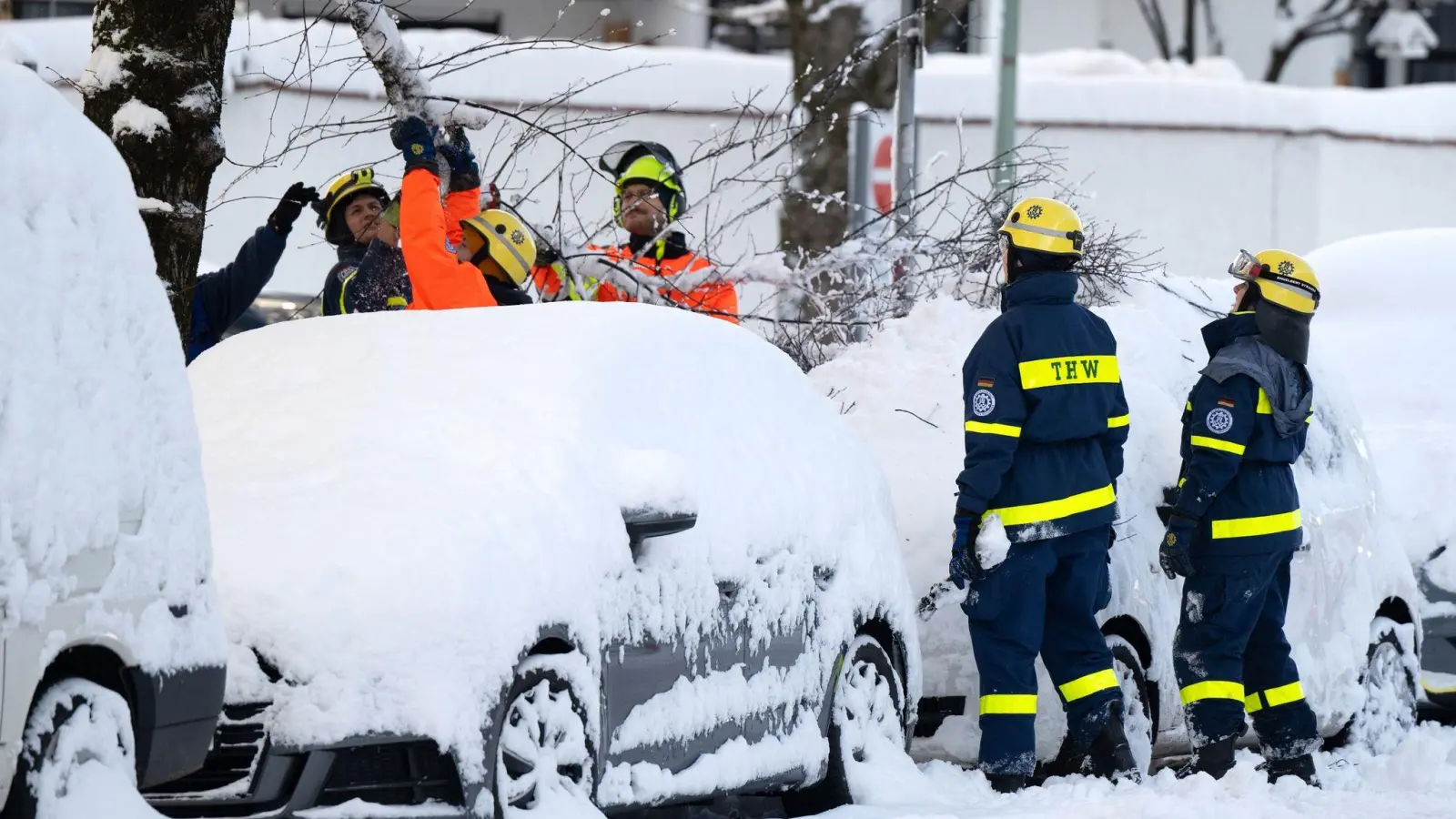 Einsatzkräfte des Technischen Hilfswerks (THW) kontrollieren in einer Straße durch die Schneelast beschädigte Bäume. (Foto: Sven Hoppe/dpa)