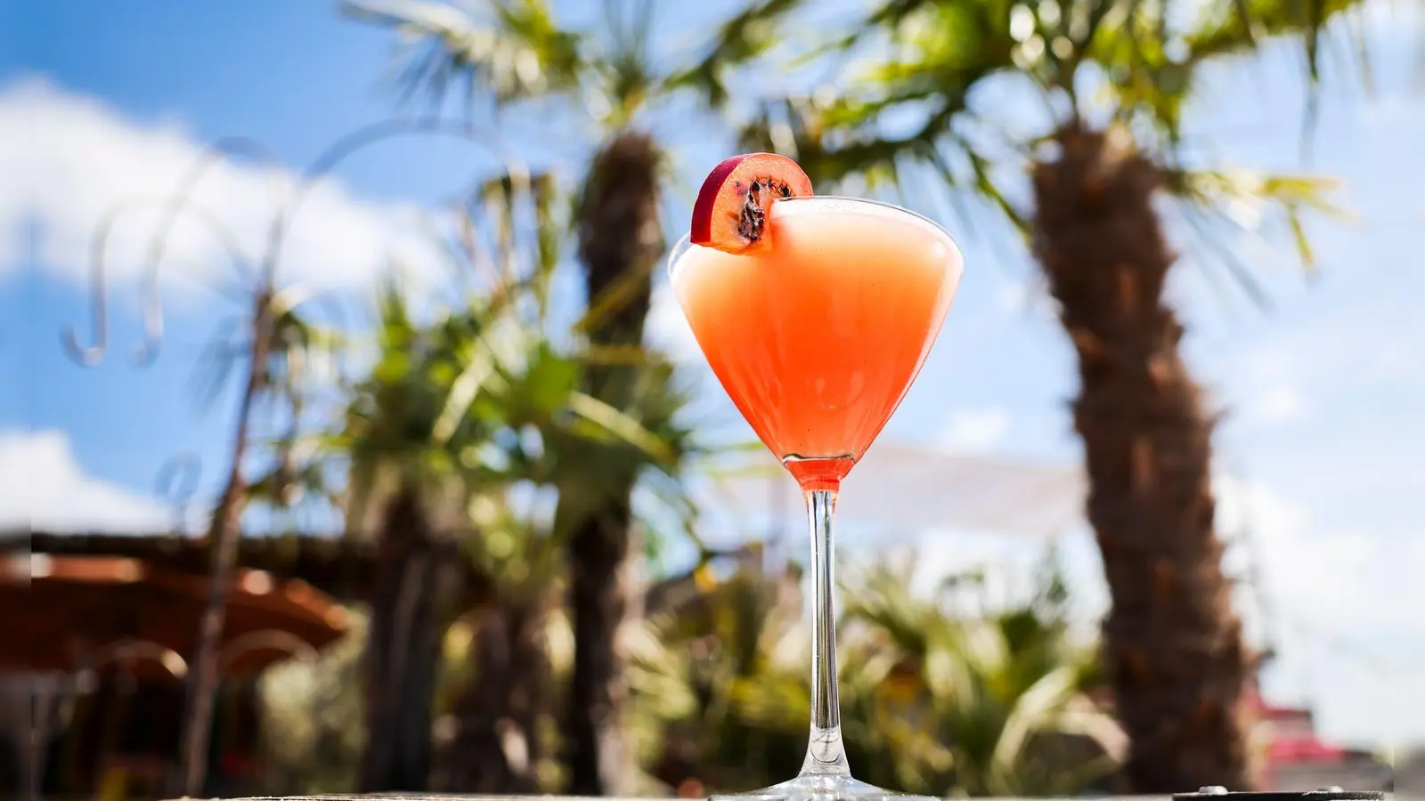 Ein Passionsfrucht Martini (auch Pornstar Martini oder Maverick Martini genannt) steht unter Palmen auf einem Tisch in einer Strandbar. (Foto: Christian Charisius/dpa)