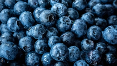 Jede zweite Probe fake: Laut Bundesamt für Verbraucherschutz waren viele der als Waldheidelbeeren verkauften Produkte tatsächlich keine echten Wildheidelbeeren, sondern günstigere Ersatzsorten. Und auch in anderer Form ist die Beere oft nicht echt. (Foto: Sina Schuldt/dpa/dpa-tmn)