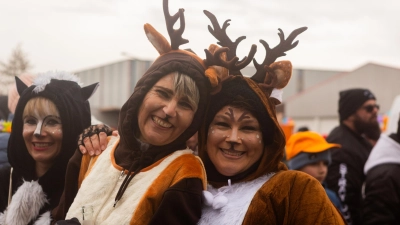 Eindrücke vom Herrieder Allerlei, dem Umzug am Faschingsdienstag. (Foto: Evi Lemberger)