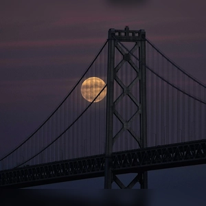 Ein Supermond geht hinter der Golden Gate Bridge in San Francisco auf.  (Foto: Godofredo A. Vásquez/AP/dpa)