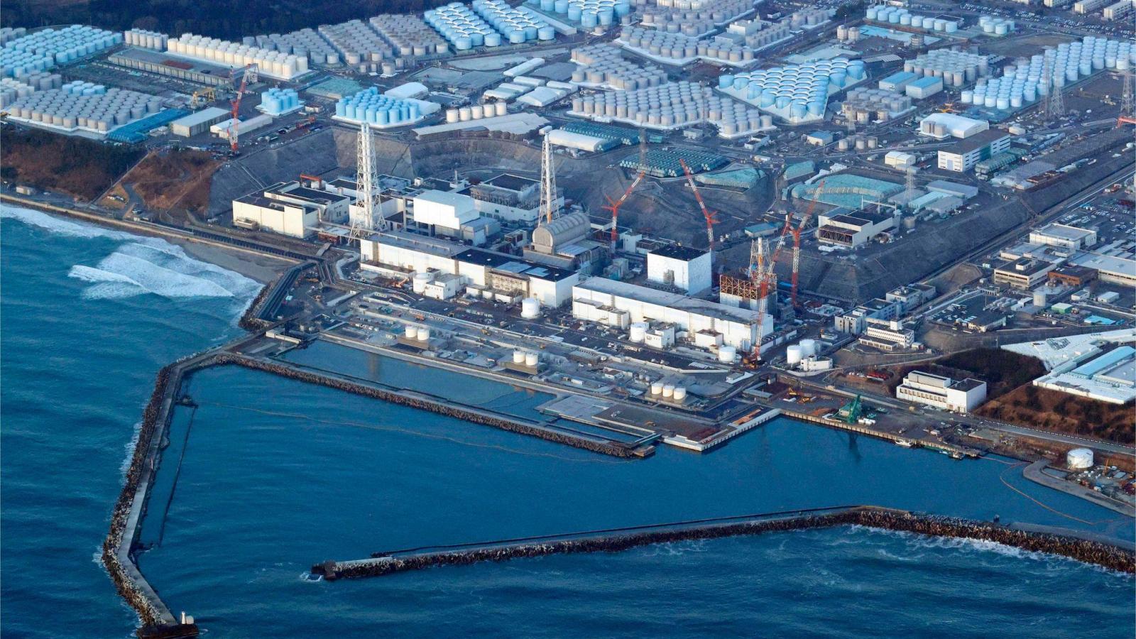 Verklappung von Fukushima-Wasser: Japan will Fisch testen | FLZ.de