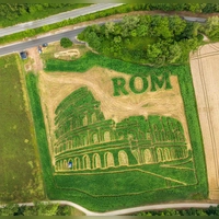 Das traditionelle Uttinger Feld-Labyrinth zeigt dieses Jahr das Kolosseum in Rom.  (Foto: Peter Kneffel/dpa)