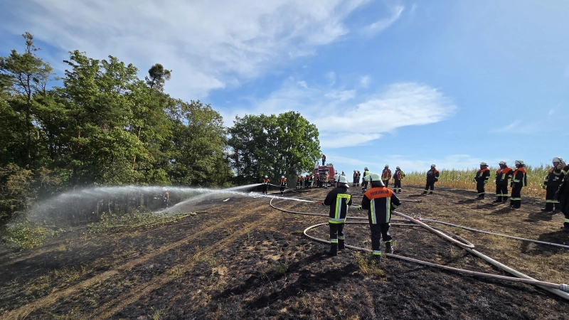 Zahlreiche Einsatzkräfte konnten verhindern, dass das Feuer auf den Wald übergriff. (Foto: Feuerwehr Neustadt)