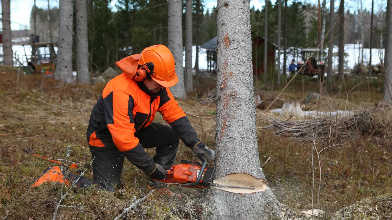 Waldarbeit ist gefährlich und Sicherheit sollte dabei immer an erster Stelle stehen. (Foto: Pixabay)