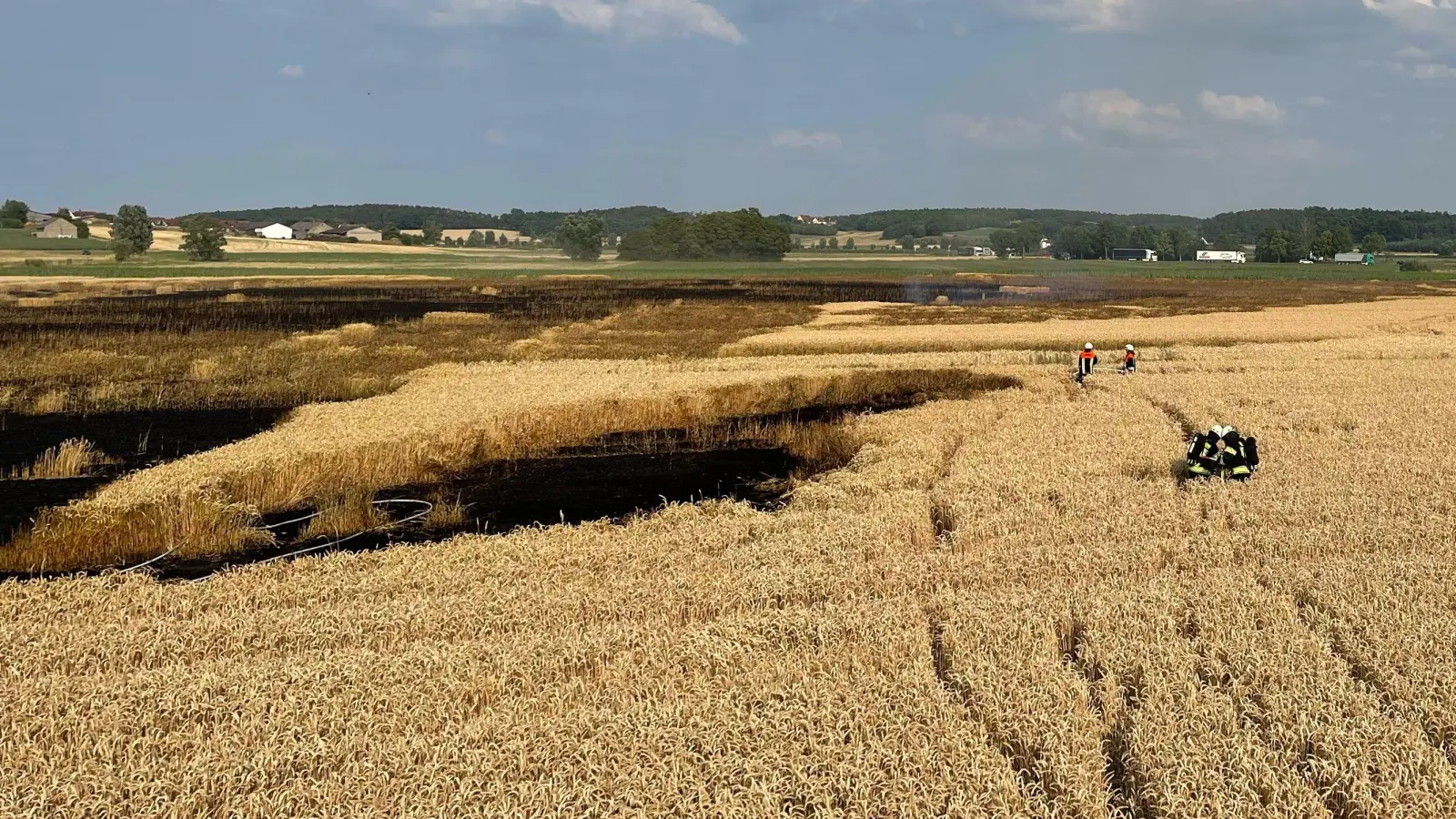 Kein alltäglicher Anblick: Feuerwehrkräfte streifen durch ein Weizenfeld, das sich teilweise entzündet hatte, um weitere Glutnester zu beseitigen. (Foto: Feuerwehr Gerhardshofen)