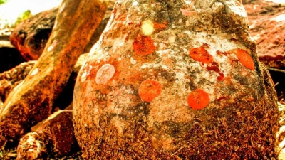 Diese als göttlich verehrte Steinkugel in Indien hat sich als Dino-Ei entpuppt. (Foto: Vishal Verma/dpa)