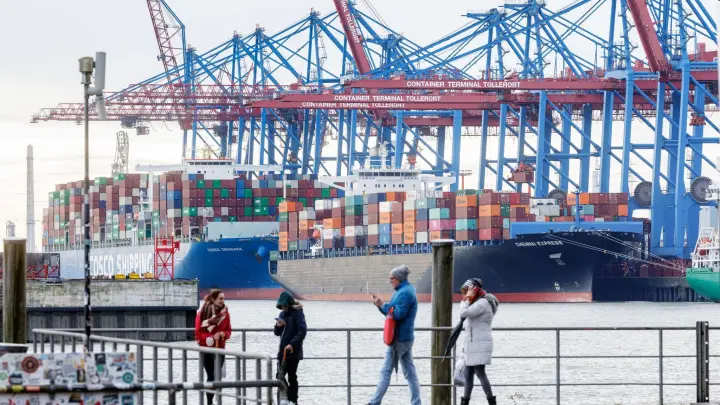 Containerschiffe liegen im Hamburger Hafen am Terminal Tollerort. (Foto: Markus Scholz/dpa)