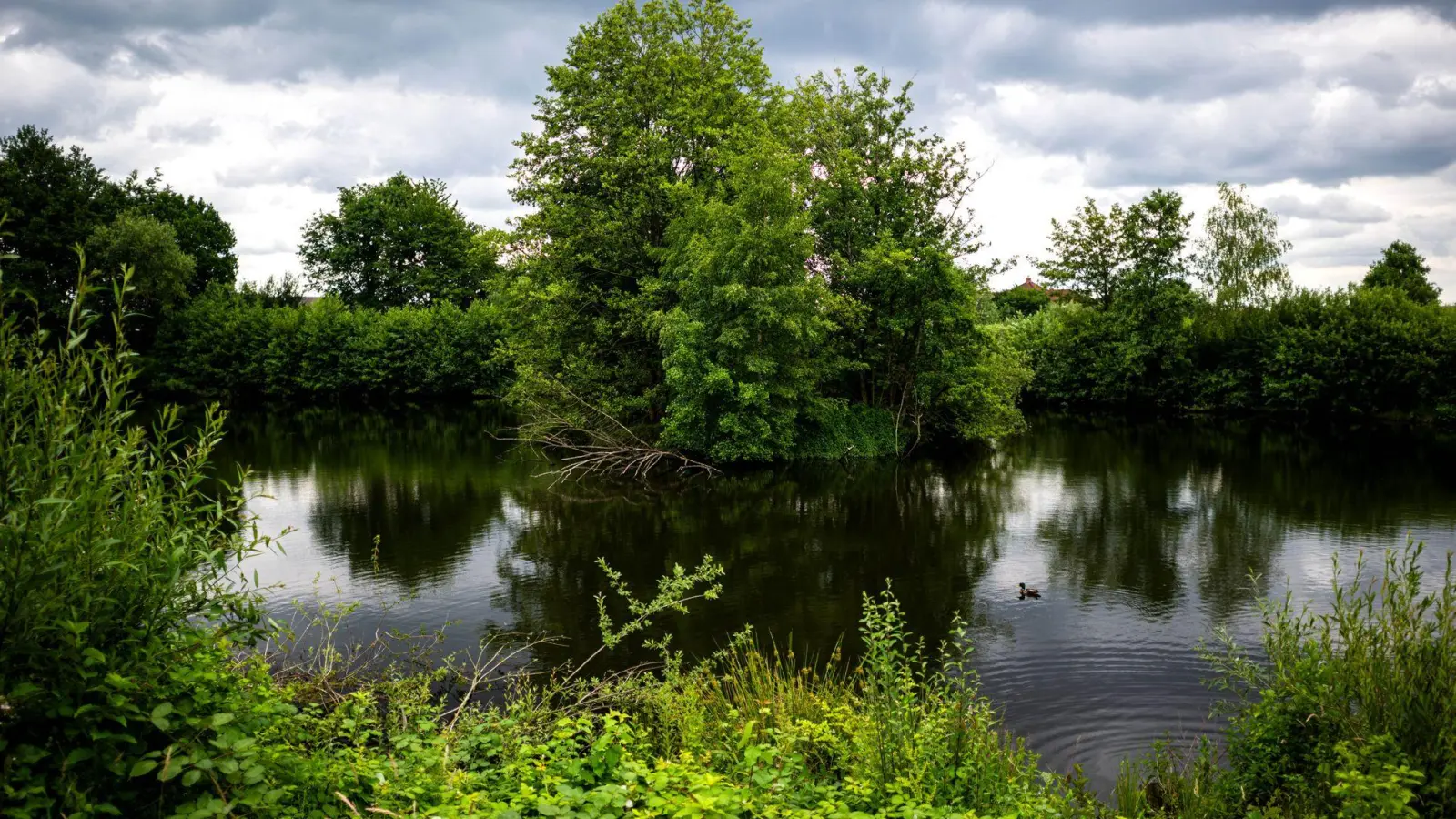 Die Geschichte eines jungen Mannes über ein Reptil in Vechta entpuppte sich als falsch.   (Foto: Sina Schuldt/dpa)