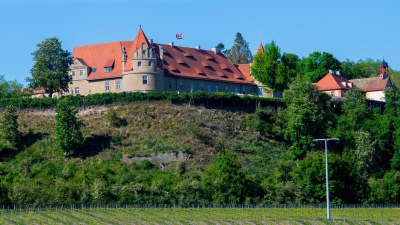 Zur linken Seite hin, bei dem markanten Einzelbaum ist die Umgestaltung geplant. (Foto: René Chlopotowski)