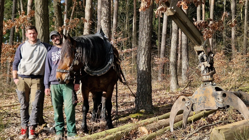 Mensch, Pferd und Maschine im Einklang: Tim Willer (links) und Tino Laux wollen das Holzrücken per Pferd wieder bekannter machen. (Foto: Andrea Walke)