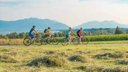 Die Region rund um den Chiemsee bietet sich an für Radtouren mit Alpenpanorama. (Foto: Kuse Aichhorn/Chiemgau Tourismus e.V./dpa-tmn)