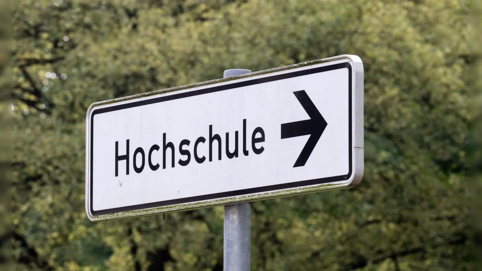 An sämtlichen Hochschulen in Bayern kann nun der Doktortitel erworben werden (Symbolbild). (Foto: Soeren Stache/dpa)