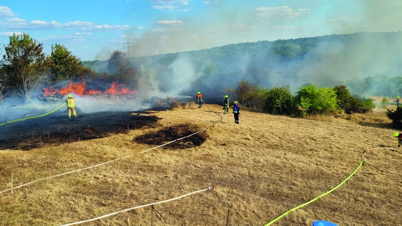 Derzeit besteht in Wald und Flur erhöhte Brandgefahr. (Symbolbild: Rainer Weiskirchen)