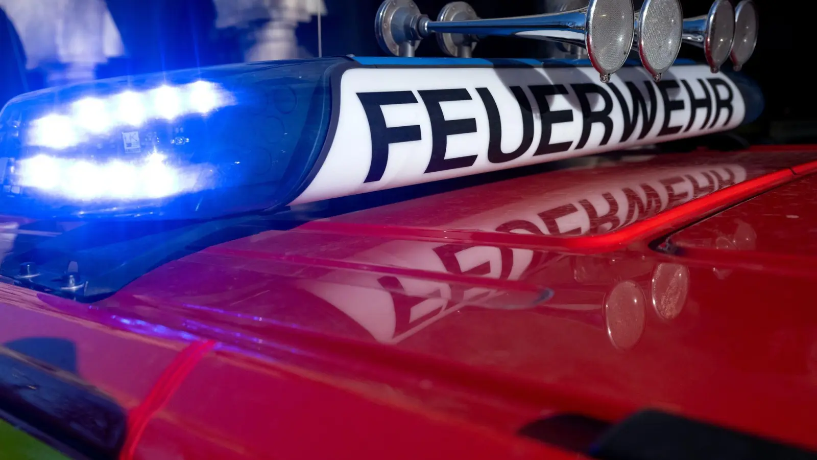 Etwa 900 Schweine verendeten. (Symbolbild) (Foto: Sven Hoppe/dpa)