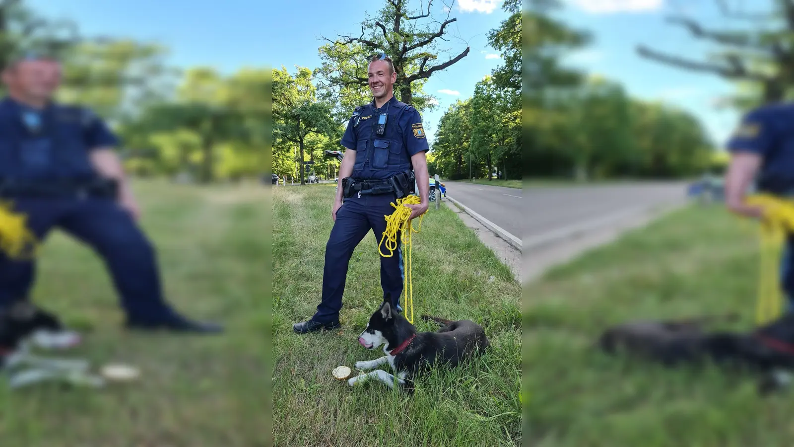 Ein Polizist hält einen Hund an der Leine, den die Beamten mit einem Wurstbrot an einer Kreuzung der Bundesstraße eingefangen haben. (Foto: -/Polizeipräsidium Mittelfranken/dpa/Bildarchiv)
