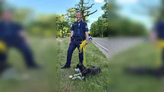 Ein Polizist hält einen Hund an der Leine, den die Beamten mit einem Wurstbrot an einer Kreuzung der Bundesstraße eingefangen haben. (Foto: -/Polizeipräsidium Mittelfranken/dpa/Bildarchiv)