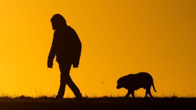 Der Hundebesitzer flüchtet nach dem Angriff unerkannt. (Symbolbild) (Foto: Julian Stratenschulte/dpa)