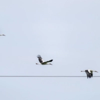 Das Wetter in Bayern stabilisiert sich.  (Foto: Pia Bayer/dpa)