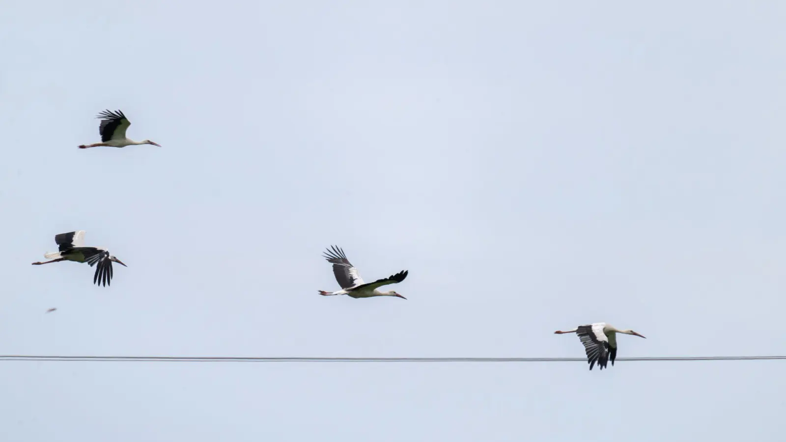 Das Wetter in Bayern stabilisiert sich.  (Foto: Pia Bayer/dpa)