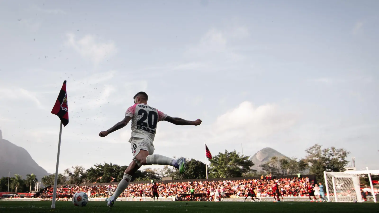 Noch ist Alejandro Grimaldo da: aber wie lange noch? (Foto: Joao Gabriel Alves/dpa)