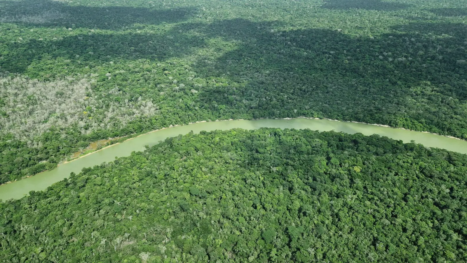 Deutschland gibt viel Geld für einen neuen Tropenwaldfonds. (Foto: Larissa Schwedes/dpa)