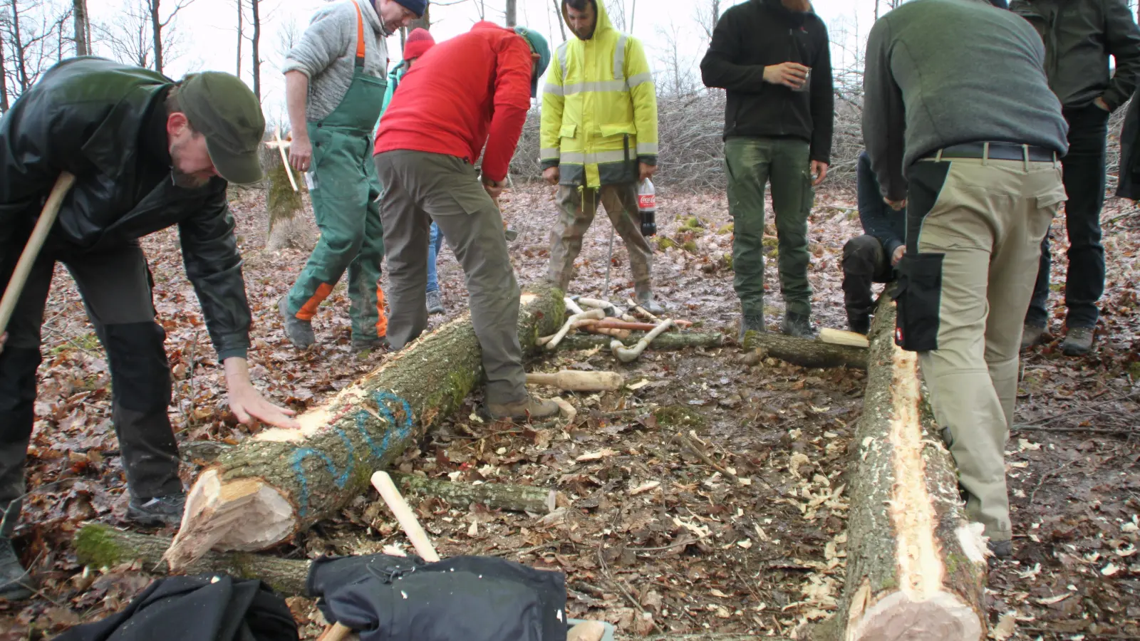 Mit verschiedenen Dechseln werden genutete Seitenpfähle gefertigt. Wissenschaftler und studentische Hilfskräfte aus ganz Deutschland werkten im Ergersheimer Wald. (Foto: Hans-Bernd Glanz)