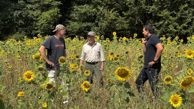 Jagdpächter Thomas Reissig und Werner Proff stehen hier gemeinsam mit Schnelldorfs Bürgermeister Tobias Strauß (von links) inmitten eines neu geschaffenen Lebensraumes. (Foto: Gemeinde Schnelldorf/Tina Hofmann-Meyer )