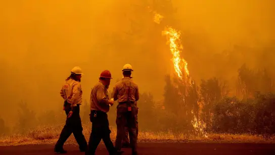 Feuerwehrleute stehen vor den Flammen des McKinney-Feuers im Klamath National Forest. (Foto: Noah Berger/FR34727 AP/dpa)