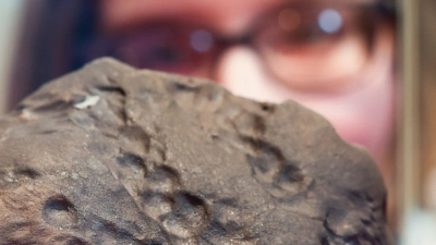 Am 25. April 2023 stürzte ein Meteorit in Elmshorn bei Hamburg vom Himmel. Genau ein Jahr später wird dieses historisch und wissenschaftlich einzigartige Stück im Museum der Natur Hamburg präsentiert. (Foto: Ulrich Perrey/dpa)