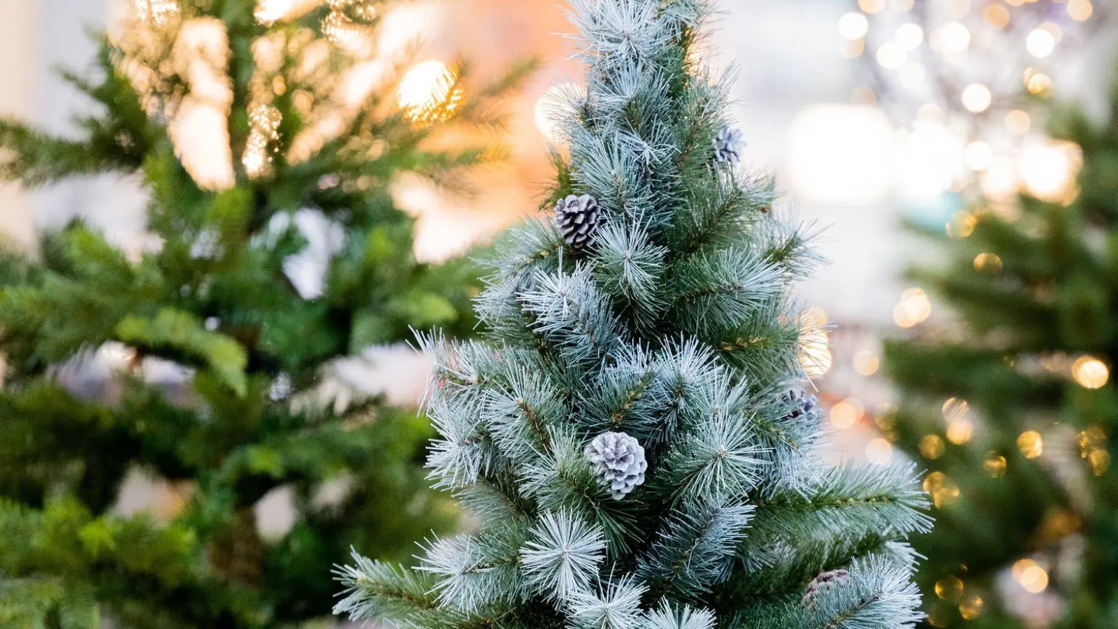 Damit ein künstlicher Weihnachtsbaum nachhaltiger ist als sein natürliches Pedant, muss er lange benutzt werden. (Foto: Rolf Vennenbernd/dpa/dpa-tmn)
