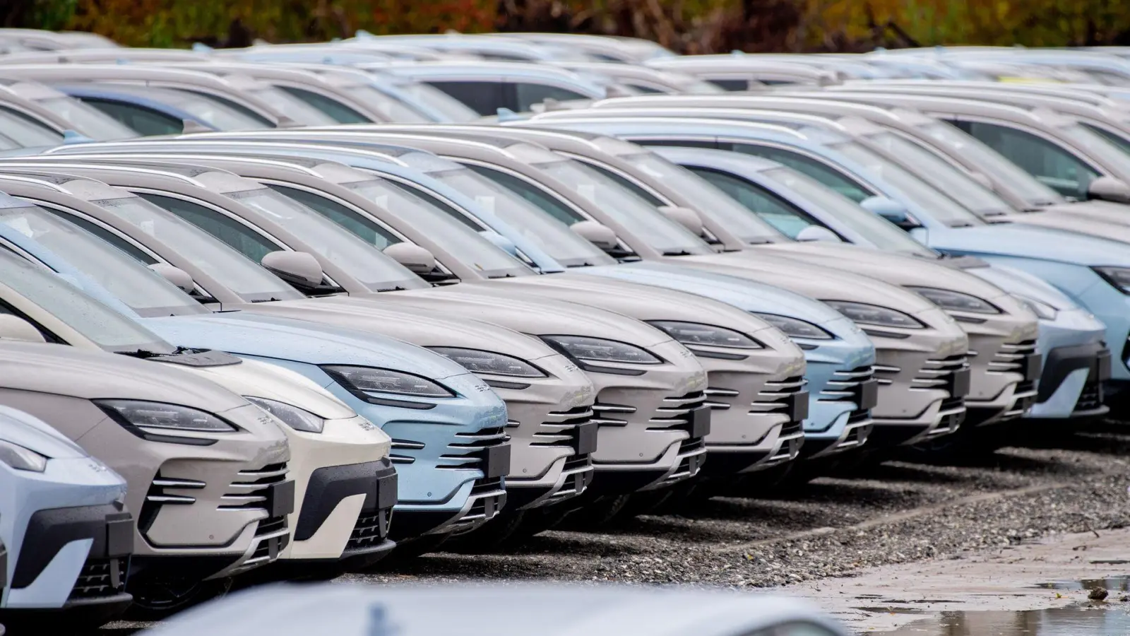 Elektrofahrzeuge von BYD stehen im Hafengebiet von Wilhelmshaven. Chinesische Hersteller drängen weiter auf den EU-Automarkt. (Archivbild) (Foto: Hauke-Christian Dittrich/dpa)