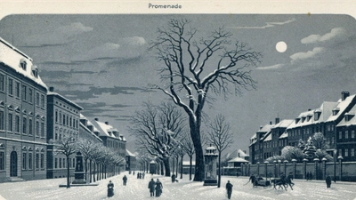 Tiefer Schnee auf der Promenade, ein Pferdeschlitten, der Vollmond am Himmel: Mit dieser romantischen Postkarte wurden einst Neujahrsgrüße verschickt.  (Repro: Sammlung Martin Schuster)