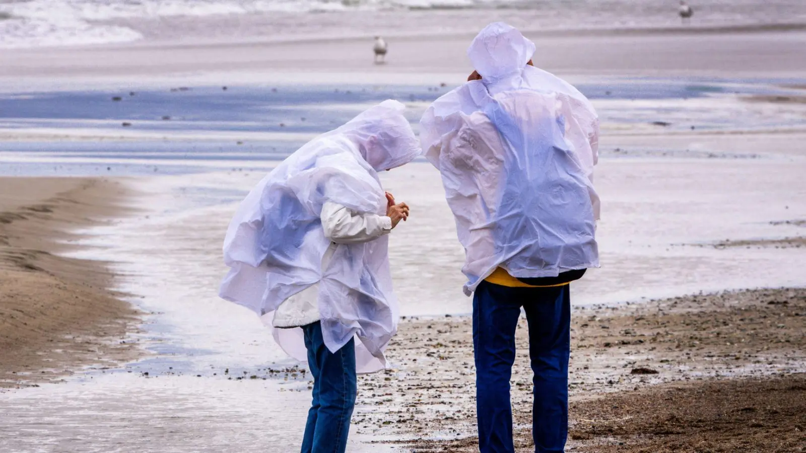 Sturmböen sorgen in Norddeutschland für einzelne Sperrungen und Ausfälle – größere Schäden bleiben aus. (Foto: Jens Büttner/dpa)