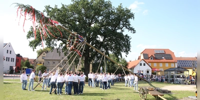 Der Kerwabaum wird am Freitag um ca. 18 Uhr aufgestellt. Danach folgt die offizielle Eröffnung der Kerwa durch den Bieranstich. (Foto: Alexander Biernoth)