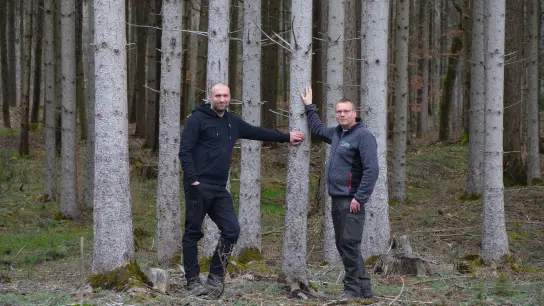 Stefan Klingner, Geschäftsführer der TreePlantingProjects (links), und Martin Brunner, Geschäftsführer der Forstbetriebsgemeinschaft Westmittelfranken, setzen sich für die gezielte Anpflanzung klimatoleranter Baumarten ein. (Foto: Yvonne Neckermann)